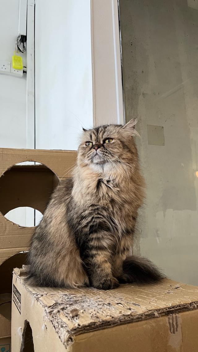 Photo of Monster. A Garden Cafe - Kuala Lumpur, Kuala lumpur, Malaysia