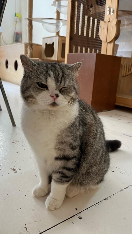 Photo of Monster. A Garden Cafe - Kuala Lumpur, Kuala lumpur, Malaysia