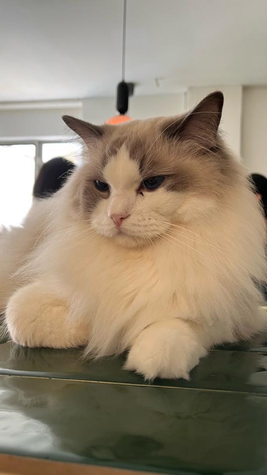 Photo of Monster. A Garden Cafe - Kuala Lumpur, Kuala lumpur, Malaysia