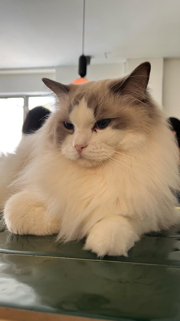 Photo of Monster. A Garden Cafe - Kuala Lumpur, Kuala lumpur, Malaysia