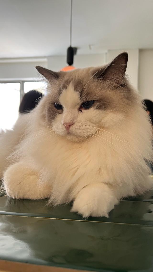 Photo of Monster. A Garden Cafe - Kuala Lumpur, Kuala lumpur, Malaysia