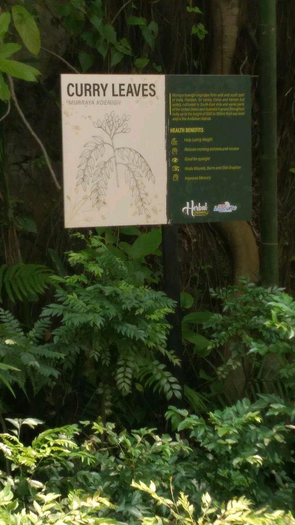 Photo of Sunway Lagoon - Selangor, Selangor, Malaysia