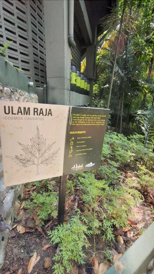 Photo of Sunway Lagoon - Selangor, Selangor, Malaysia