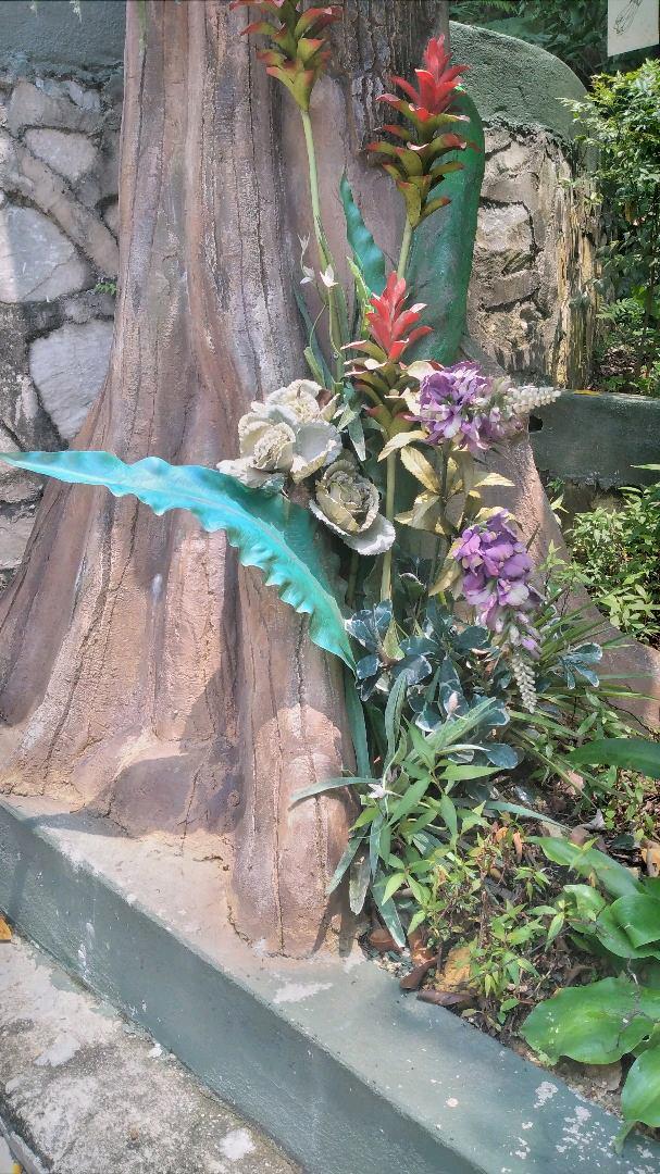 Photo of Sunway Lagoon - Selangor, Selangor, Malaysia