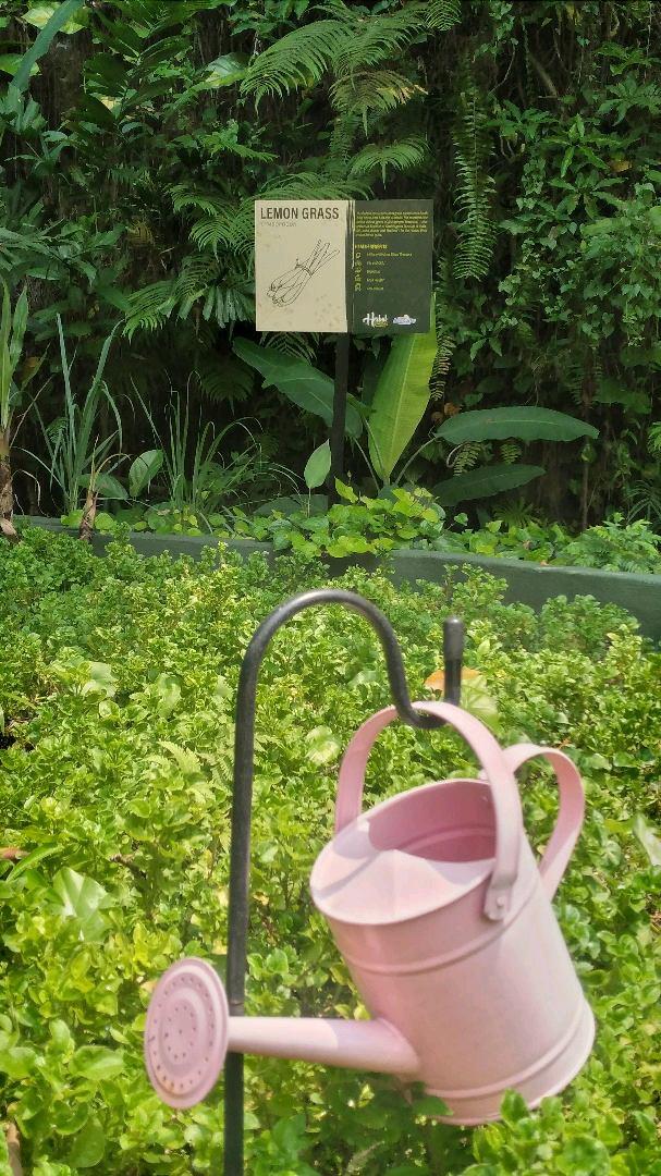 Photo of Sunway Lagoon - Selangor, Selangor, Malaysia