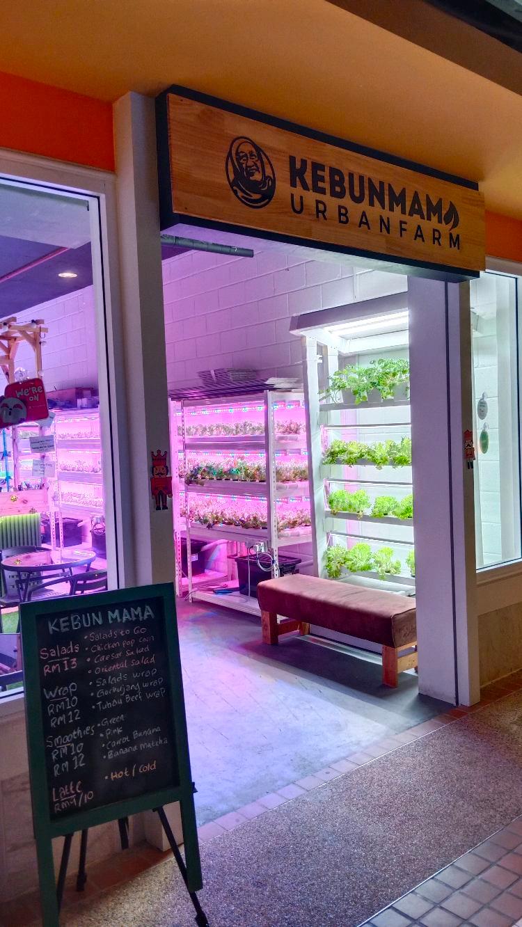 Photo of Kebun Mama Urban Farm - Kota Kinabalu, Sabah, Malaysia