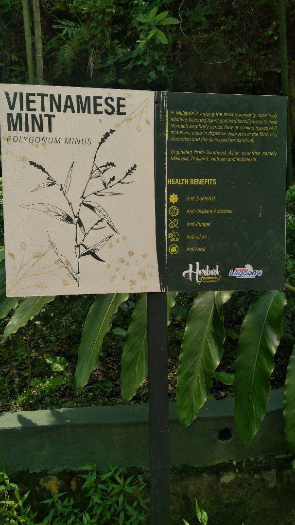 Photo of Sunway Lagoon - Selangor, Selangor, Malaysia