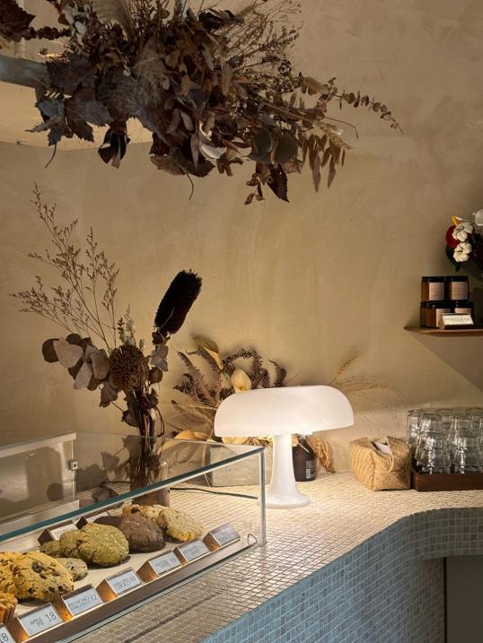 Photo of Whitebird - Kota Kinabalu, Sabah, Malaysia