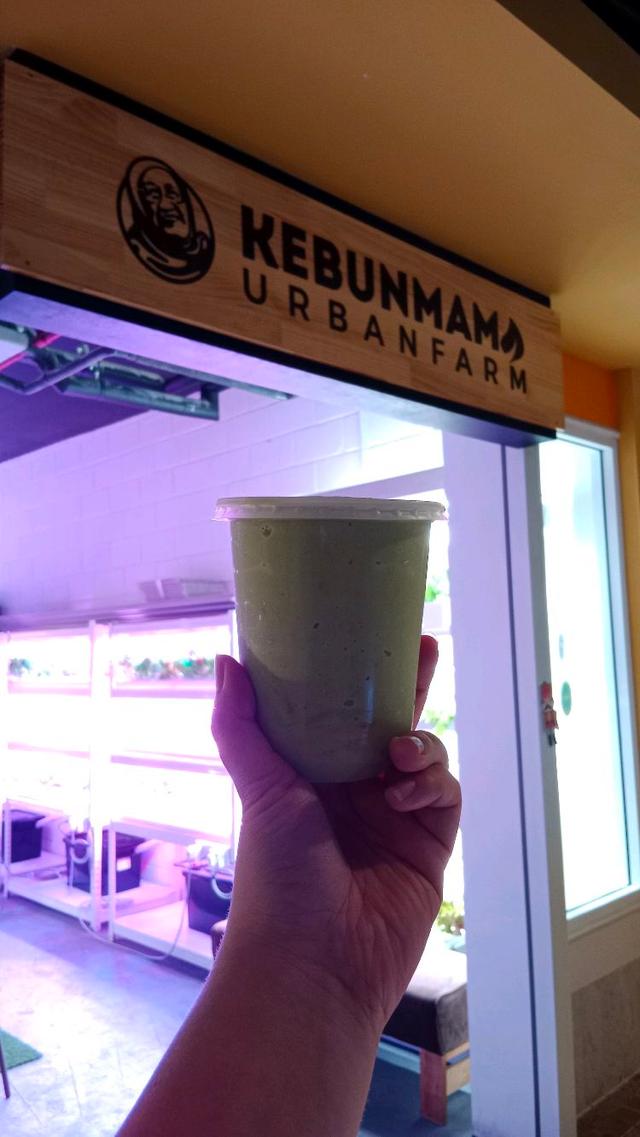 Photo of Kebun Mama Urban Farm - Kota Kinabalu, Sabah, Malaysia