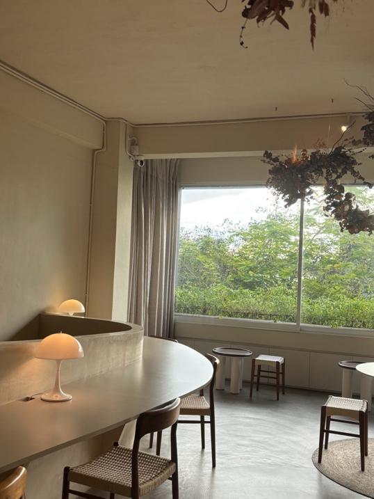 Photo of Whitebird - Kota Kinabalu, Sabah, Malaysia