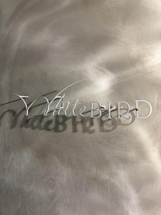 Photo of Whitebird - Kota Kinabalu, Sabah, Malaysia