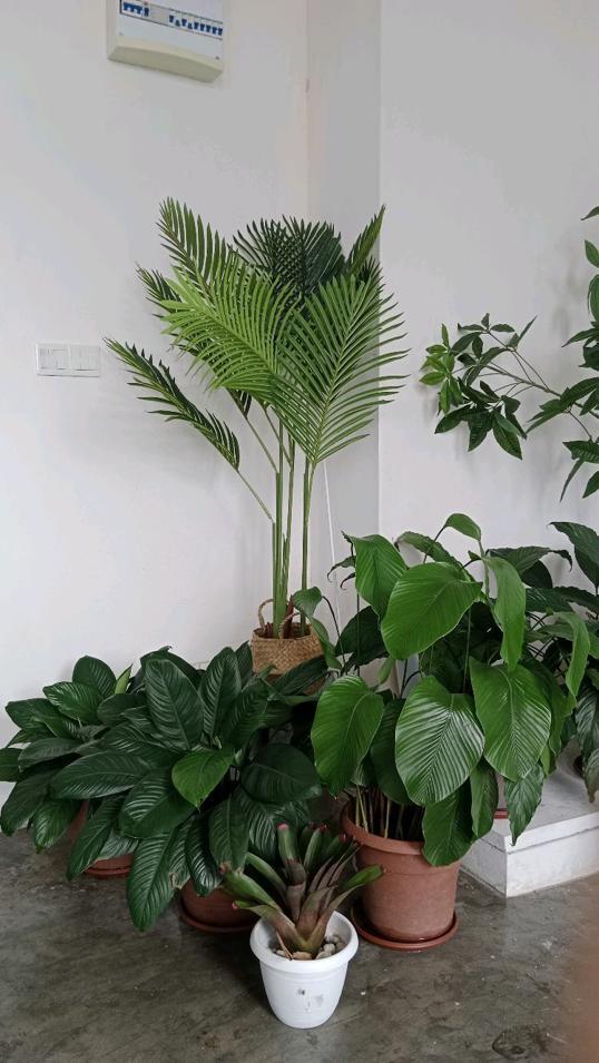 Photo of Kofi Cove - Kota Kinabalu, Sabah, Malaysia