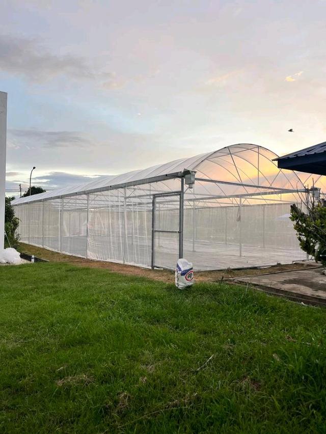 Photo of Agro Fortune Agriculture Company (Agro Fortune Sdn Bhd) - Kota Kinabalu, Sabah, Malaysia