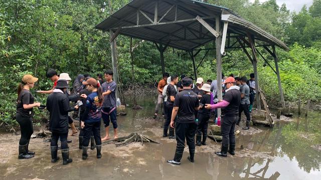 Photo of Kota Kinabalu Wetland Ramsar Site - Kota Kinabalu, Sabah, Malaysia