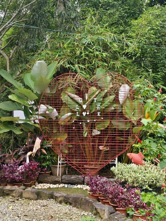 Photo of Green Cottage Trading - Kota Kinabalu, Sabah, Malaysia