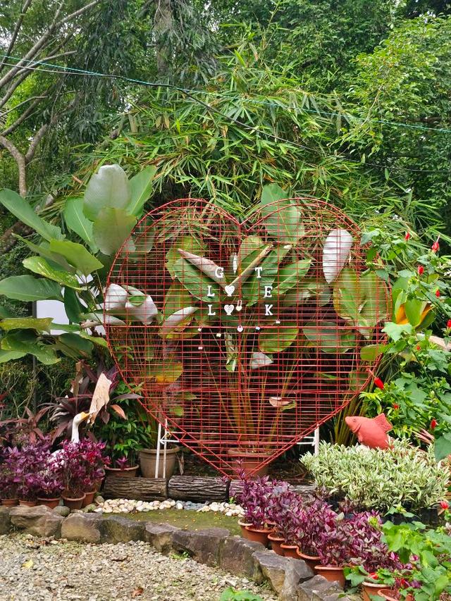 Photo of Green Cottage Trading - Kota Kinabalu, Sabah, Malaysia