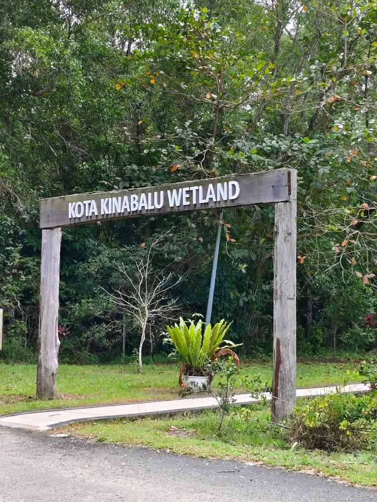 Photo of Kota Kinabalu Wetland Ramsar Site - Kota Kinabalu, Sabah, Malaysia