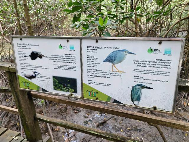 Photo of Kota Kinabalu Wetland Ramsar Site - Kota Kinabalu, Sabah, Malaysia