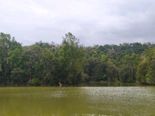 Photo of Bukit Padang - Kota Kinabalu, Sabah, Malaysia