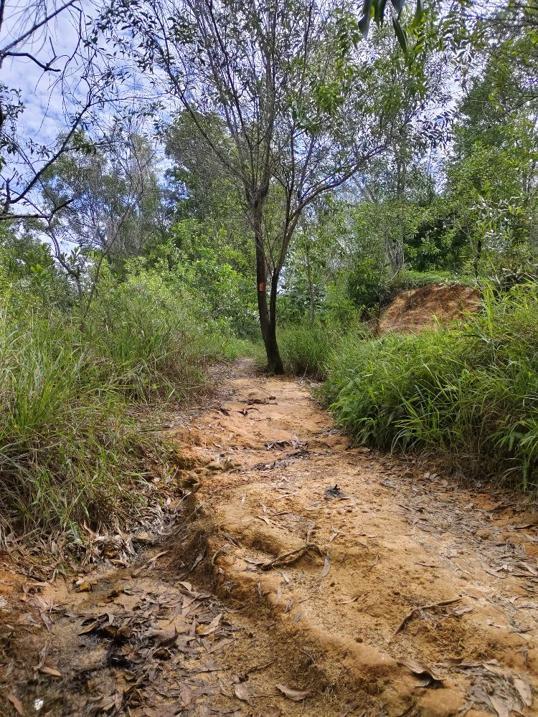 Photo of Bukit Kopungit trail start - Kota Kinabalu, Sabah, Malaysia