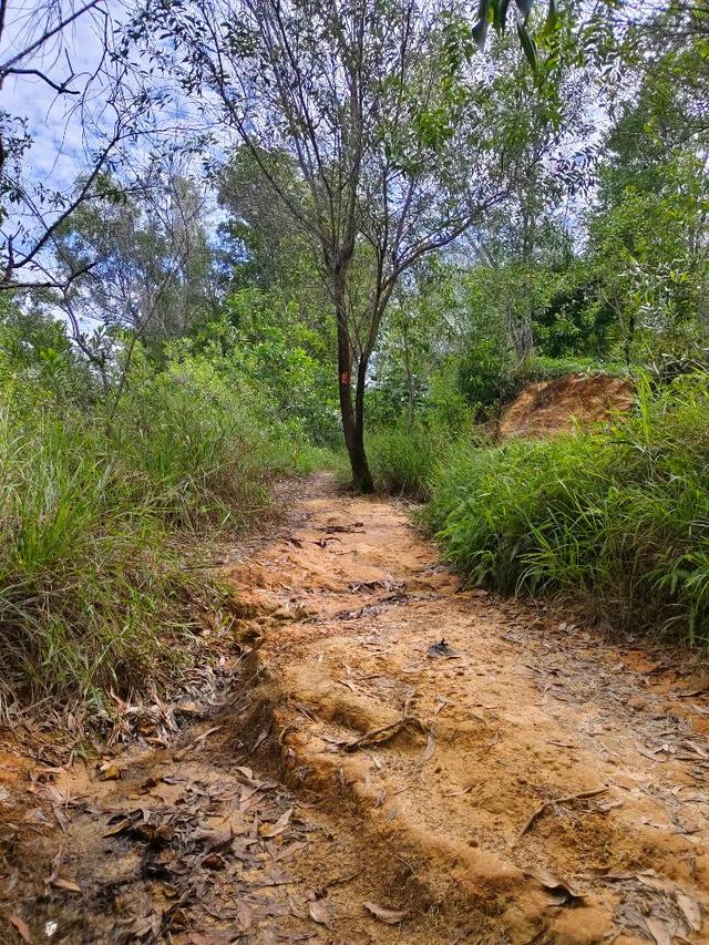 Photo of Bukit Kopungit trail start - Kota Kinabalu, Sabah, Malaysia