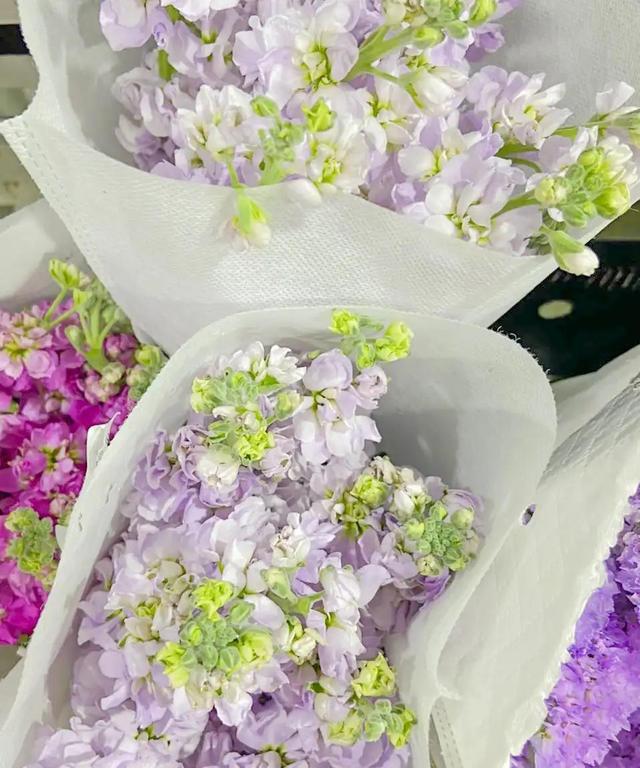 Photo of Lee Wah Florist Sdn Bhd - Kuala Lumpur, Kuala lumpur, Malaysia