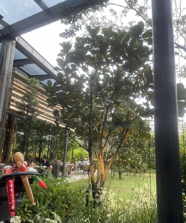 Photo of Botanica+Co @ Bamboo Hills - Kuala Lumpur, Kuala lumpur, Malaysia