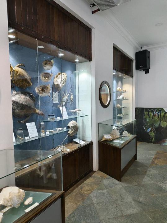 Photo of Aquarium & Marine Museum, Universiti Malaysia Sabah, Kota Kinabalu, Sabah. - Kota Kinabalu, Sabah, Malaysia