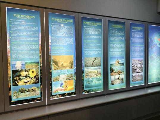 Photo of Aquarium & Marine Museum, Universiti Malaysia Sabah, Kota Kinabalu, Sabah. - Kota Kinabalu, Sabah, Malaysia