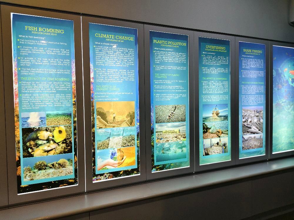 Photo of Aquarium & Marine Museum, Universiti Malaysia Sabah, Kota Kinabalu, Sabah. - Kota Kinabalu, Sabah, Malaysia