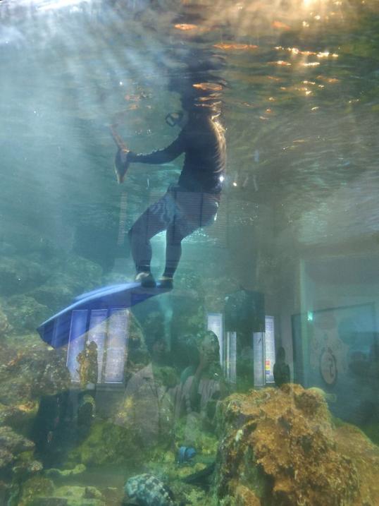 Photo of Aquarium & Marine Museum, Universiti Malaysia Sabah, Kota Kinabalu, Sabah. - Kota Kinabalu, Sabah, Malaysia