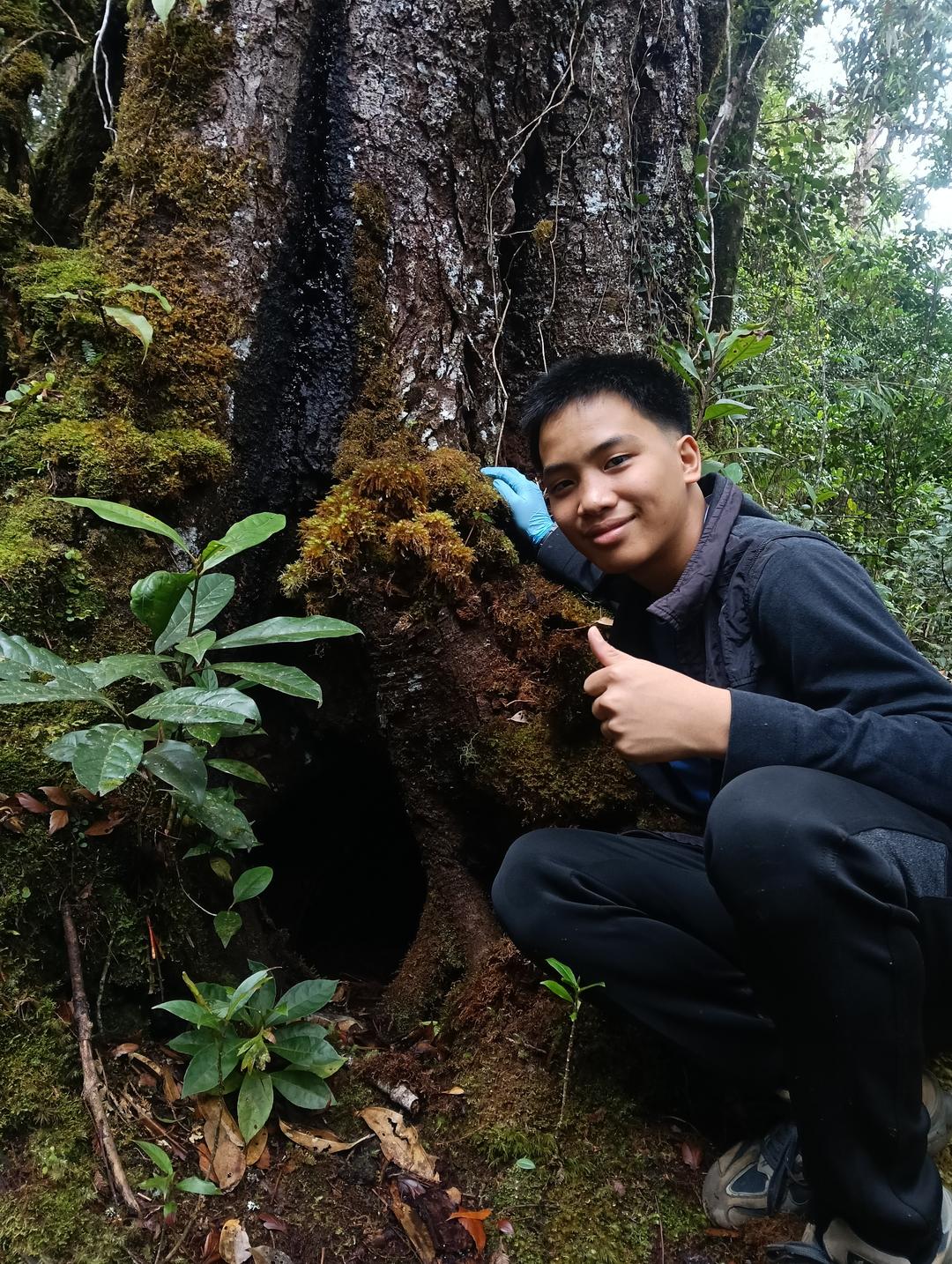 Photo of Kinabalu Park Office - Kundasang, Sabah, Malaysia